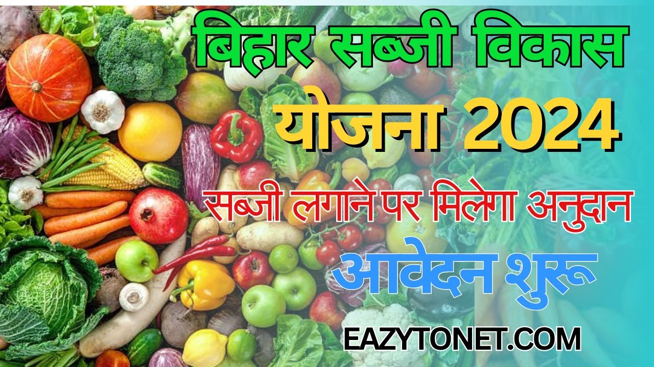 Bihar Sabji Vikas Yojna 2024: किसानों को सब्जियां लगाने पर बिहार सरकार देगी 75% तक अनुदान, ऐसे करें ऑनलाइन आवेदन
