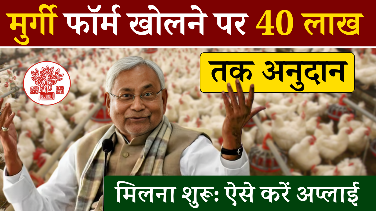 Bihar Poultry Farm Yojana 2024: Bihar Murgi Palan Yojana 2024, सरकार दे रही है मुर्गी फॉर्म पर 3 से 40 लाख अनुदान